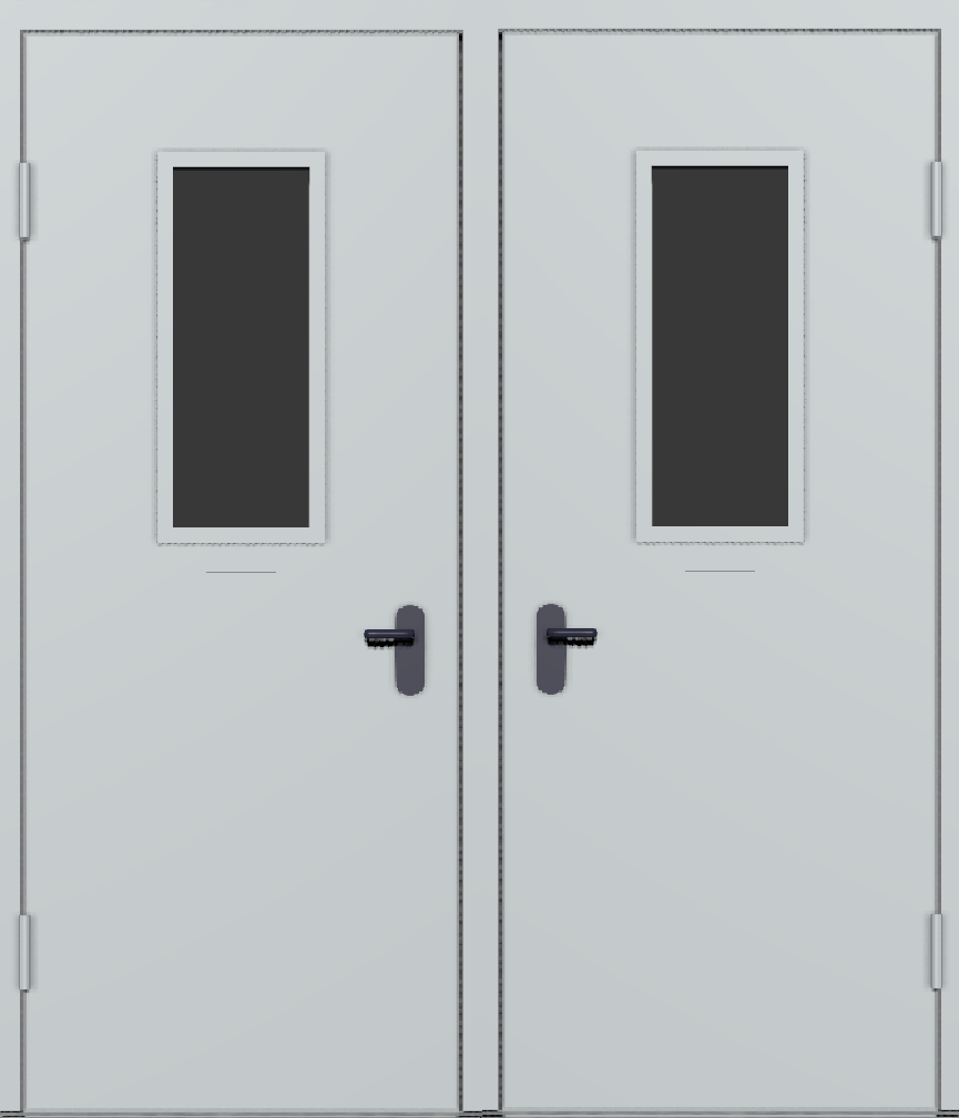 Техническая металлическая дверь с остеклением